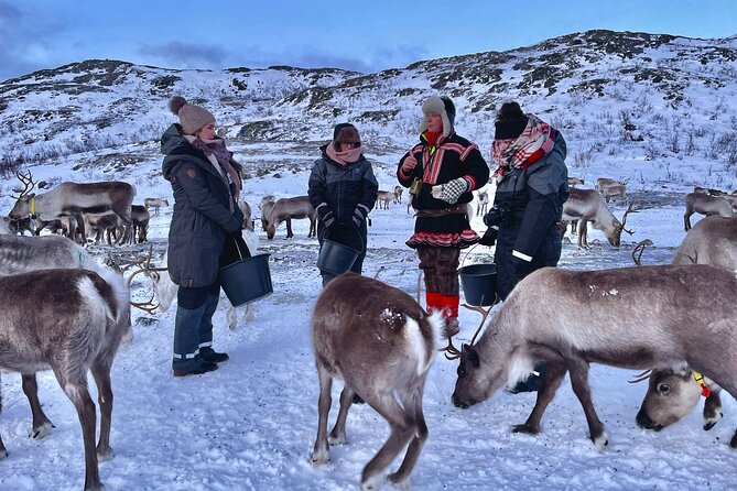 Arctic Fjords and Reindeer Experience – Small group tour - Weather, clothing, and comfort