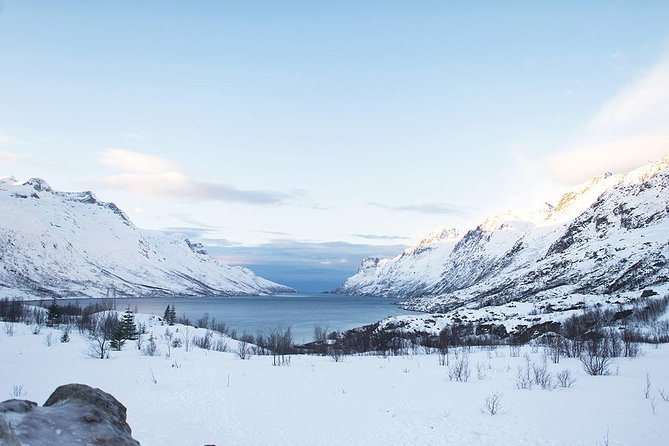 Arctic Fjords Road Trip - Kvaløya and the Tromsø fjords