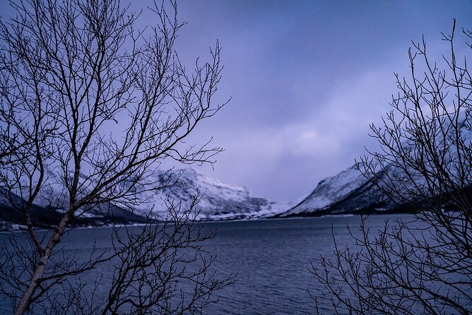 Arctic Fjords Sightseeing Adventure with Arctic Navigator - Ersfjordbotn and the Thirty-Minute View