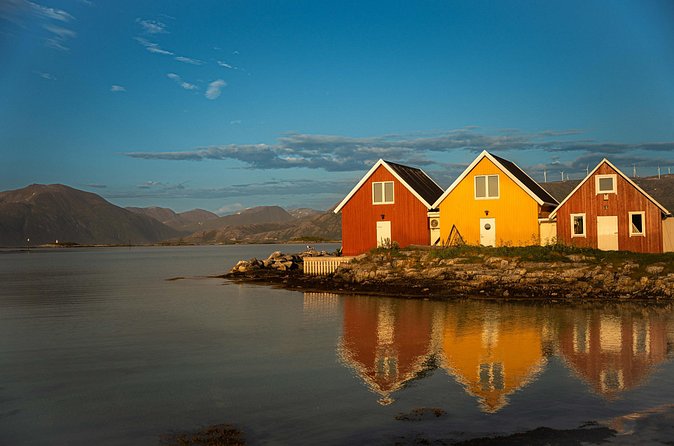 Arctic Fjords Sightseeing Adventure with Arctic Navigator - Is $139.93 a Fair Price?