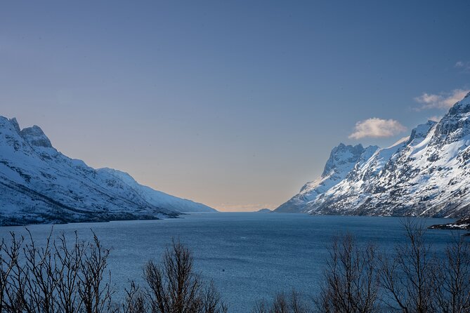 Arctic Fjords Sightseeing Adventure with Arctic Navigator - Who Will Enjoy This Experience Most?