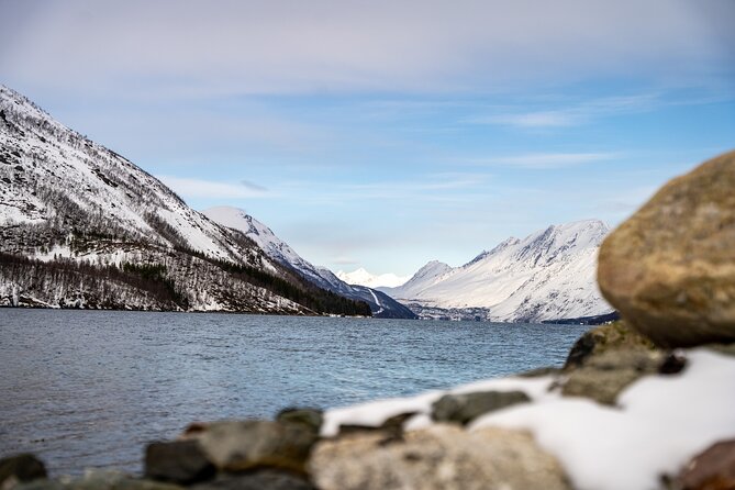 Arctic Fjords Sightseeing Adventure with Arctic Navigator - What the Rating Tells You