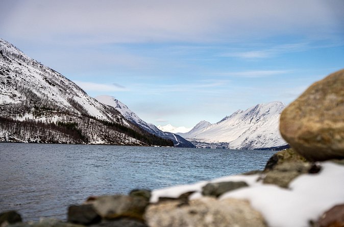 Arctic Fjords Sightseeing Adventure with Arctic Navigator - Practical Details for a Smooth Morning