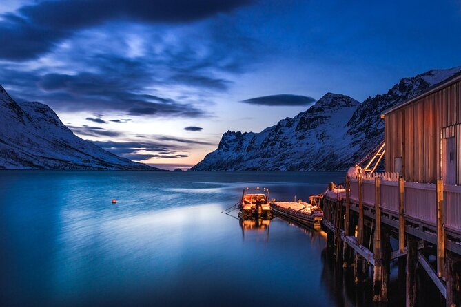 Arctic Wildlife and Fjord Sightseeing - Five things to know before you book