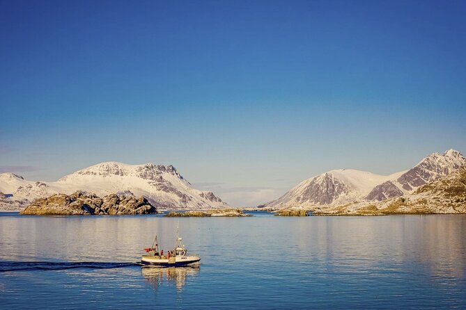 Arctic Wildlife and Fjord Sightseeing - Kaldfjorden and Ersfjordbotn: the first major views