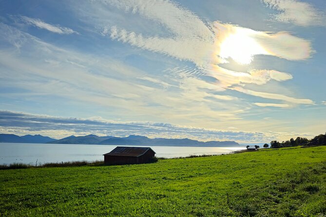 Arctic Wildlife and Fjord Sightseeing - Wildlife: rewarding when it happens, absent when it does not