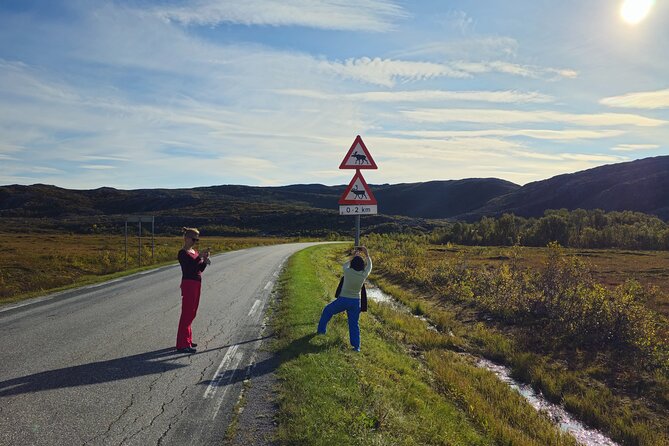 Arctic Wildlife and Fjord Sightseeing - What the $226.16 price really buys you