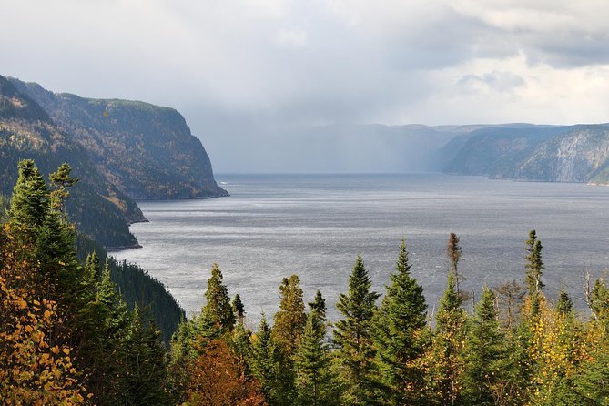 Back Country of the Fjord and the National Park - The minibus ride is part of the experience