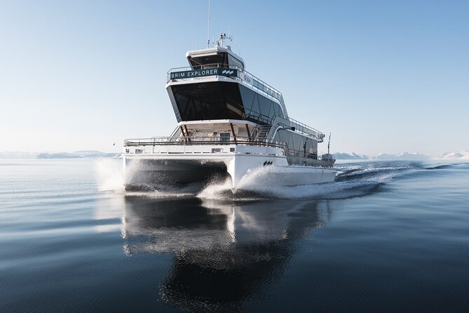 Beiarfjord & Saltstraumen Cruise with Guide - Key points at a glance