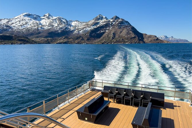 Beiarfjord & Saltstraumen Cruise with Guide - Why this Bodø cruise feels different