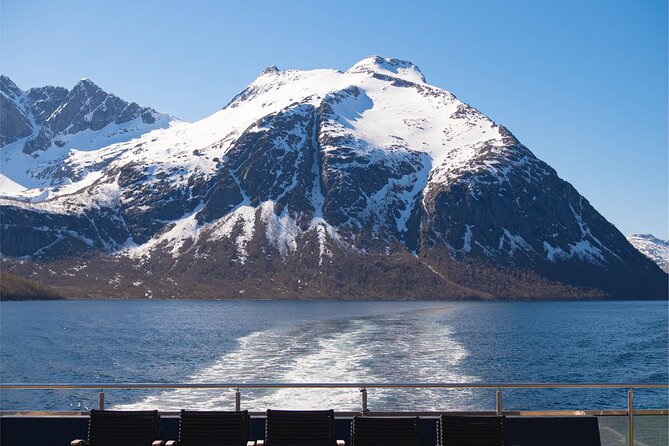 Beiarfjord & Saltstraumen Cruise with Guide - Saltfjorden and Saltstraumen on the return