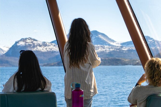 Beiarfjord & Saltstraumen Cruise with Guide - What the $85.30 price gives you
