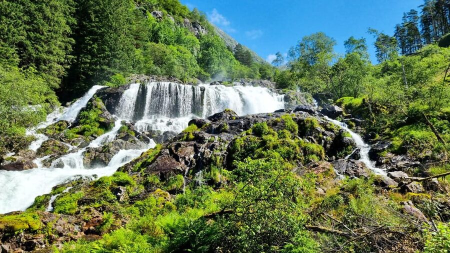 Bergen: Cruise to beautiful Rosendal by the Hardangerfjord - Leaving Bergen beside Bryggen