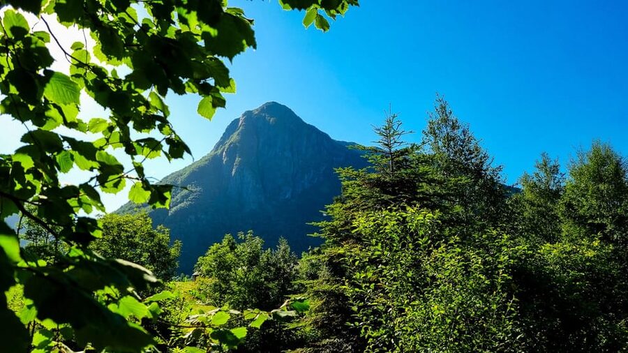 Bergen: Cruise to beautiful Rosendal by the Hardangerfjord - The return ride to Bergen
