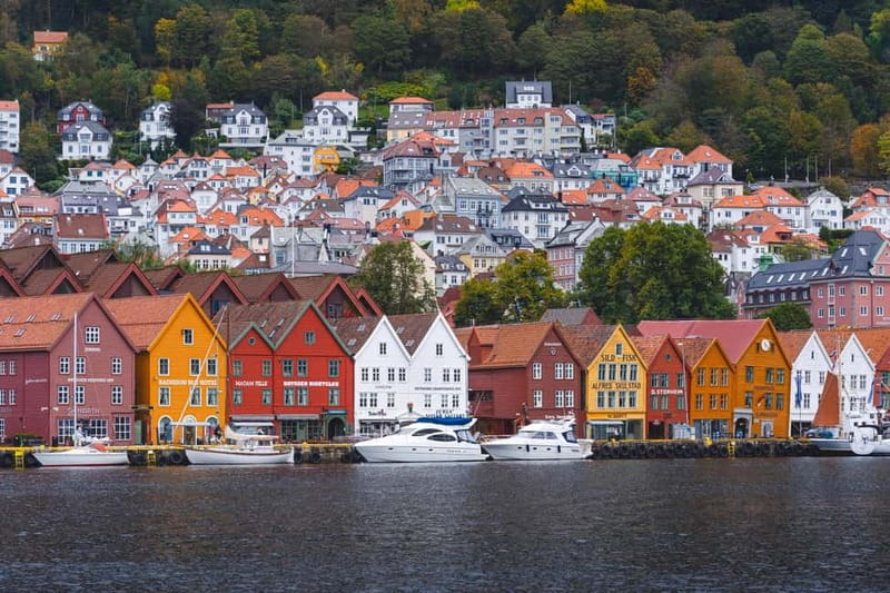 Bergen: Flam Railway, Viking Village Tour with Fjord Cruise - Two Hours on Nærøyfjord