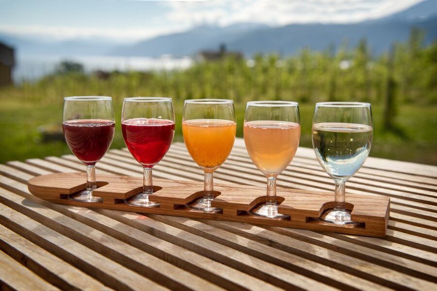 Bergen: Guided Fjord & Cidery Tour to Balestrand - What the $313 price really covers