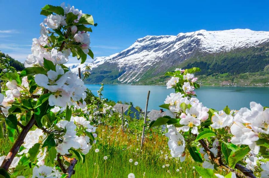 Bergen: Hardangerfjord & Waterfalls Bus Tour with Apple Pie - Key points before you book