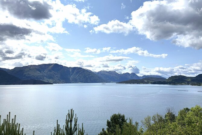 Bergen: Hardangerfjord, Waterfalls, Culture & Apple pie - Norheimsund adds boats, craft, and apple pie