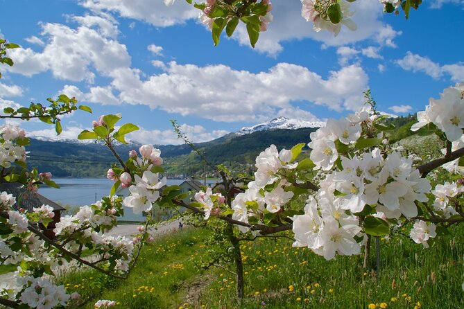 Bergen: Hardangerfjord, Waterfalls, Culture & Apple pie - Steinsdalsfossen lets you walk behind the water
