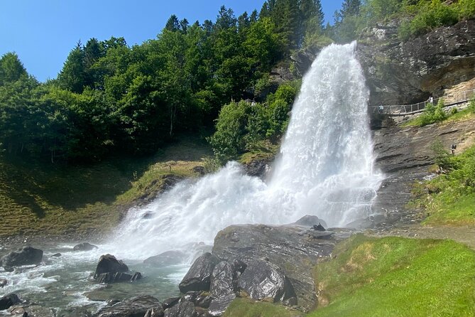Bergen in a day, Guided tour: Old Town, Waterfalls & Waffles - Salthammeren’s 5,000-year-old carvings