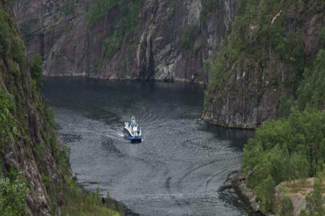 Bergen: Mostraumen Fjord Cruise - Wildlife, small villages, and what you may see