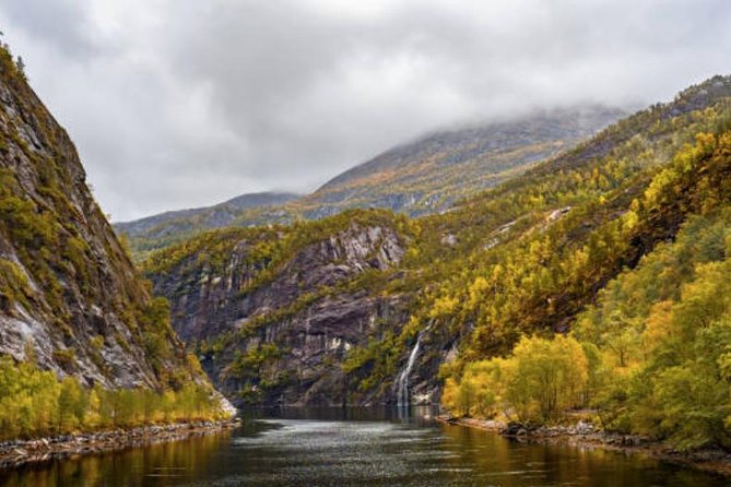 Bergen: Mostraumen Fjord Cruise - Port timing and booking advice