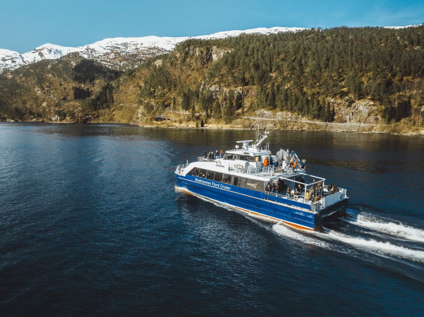 Bergen: Mostraumen Fjord Cruise - with Local Tour Guides - Is $78 good value from Bergen?