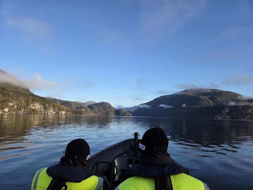 Bergen: Mostraumen Fjord Safari - by Premium RIB Boat - The ride back to Bergen