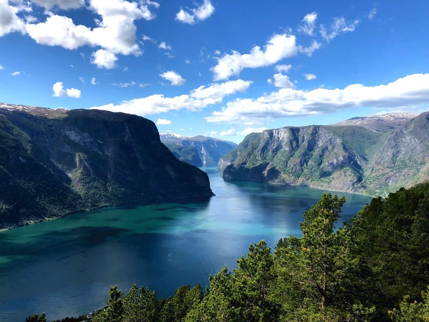 Bergen: Nærøyfjorden, Flåm, and Stegastein Guided Bus Tour - Who should book this tour?