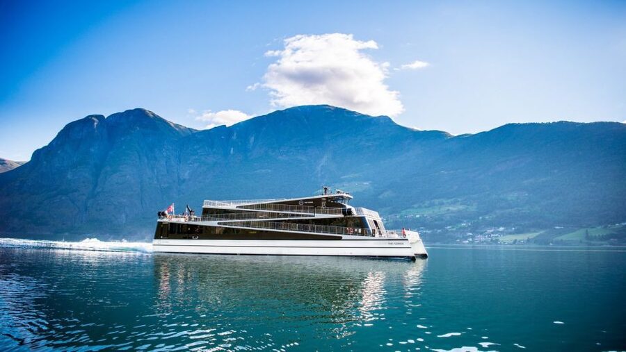 Bergen: Private Day Tour, Nærøyfjord Cruise and Flåm Railway - Who should book this tour?