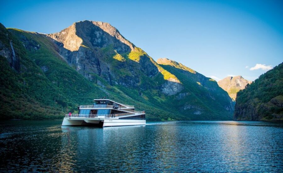 Bergen: Private Day Tour, Nærøyfjord Cruise and Flåm Railway - Is $1,259 per person good value?