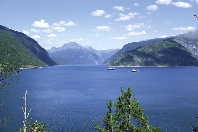 Bergen: Private Full-Day Roundtrip to Hardangerfjord with cruise - Eidfjord, Øvre Eidfjord, and the nature centre