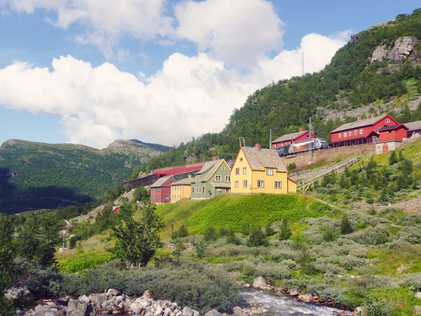 Bergen: Self-Guided Trip to Oslo with Sognefjord cruise (5h) - Why this route is worth your time