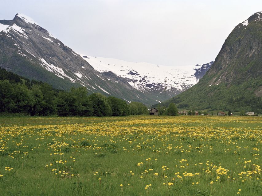 Bergen: Self-Guided Trip to Oslo with Sognefjord cruise (5h) - Sognefjord from the water