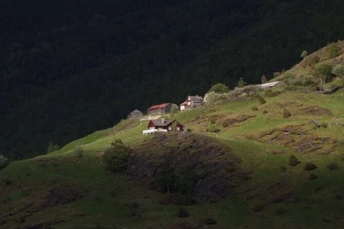 Bergen to Flam "The King of Fjords" One-Way or Round-Trip Cruise Ticket - Who Will Enjoy This Ferry Ride?