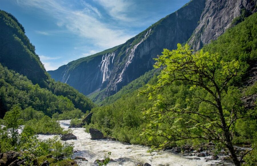 Bergen to Oslo: Private Nærøyfjord Cruise and Flåm Railway - The Flåm Railway from Flåm to Myrdal