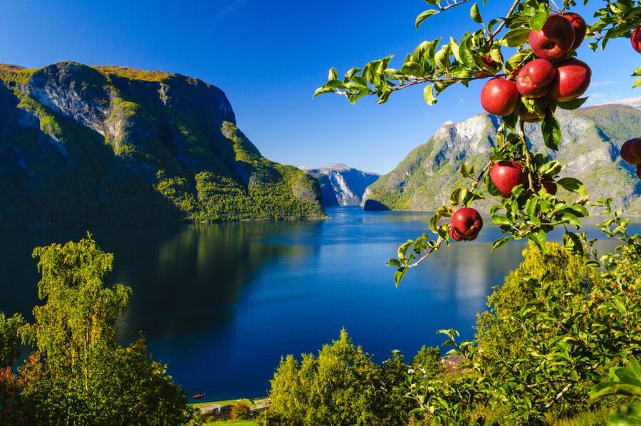 Bergen: Viking Village, Nærøyfjord Cruise & Flåm Railway - Five things to know before booking