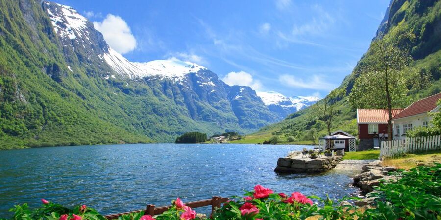 Bergen: Viking Village, Nærøyfjord Cruise & Flåm Railway - Riding the Flåm Railway to Myrdal