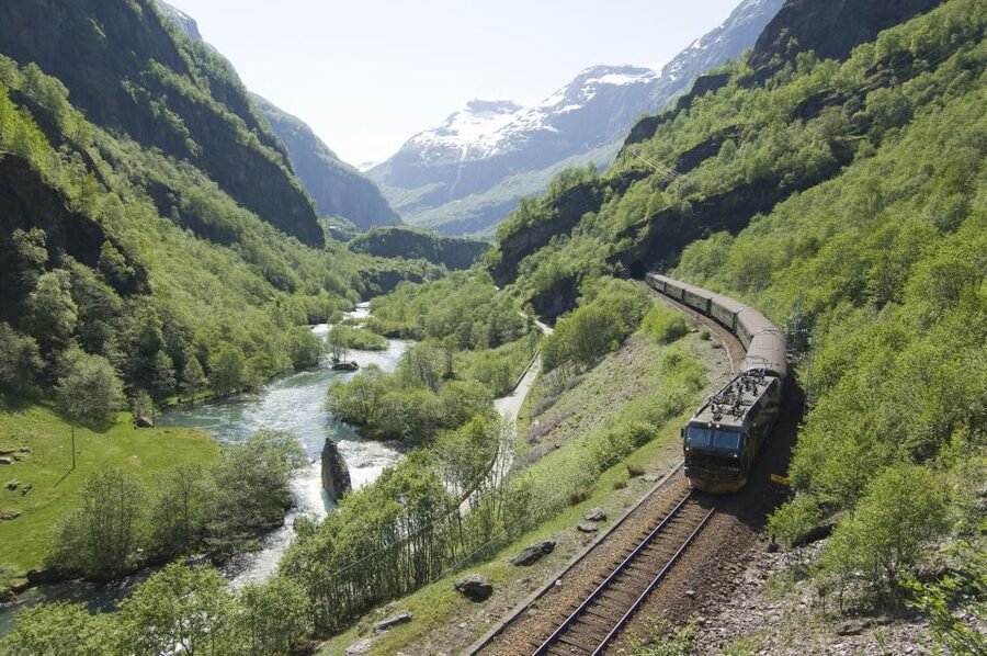 Bergen: Viking Village, Nærøyfjord Cruise & Flåm Railway - Is $418 a fair price?