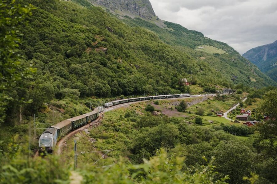 Bergen: Viking Village, Nærøyfjorden Cruise and Flåm Railway - The highlights that matter most