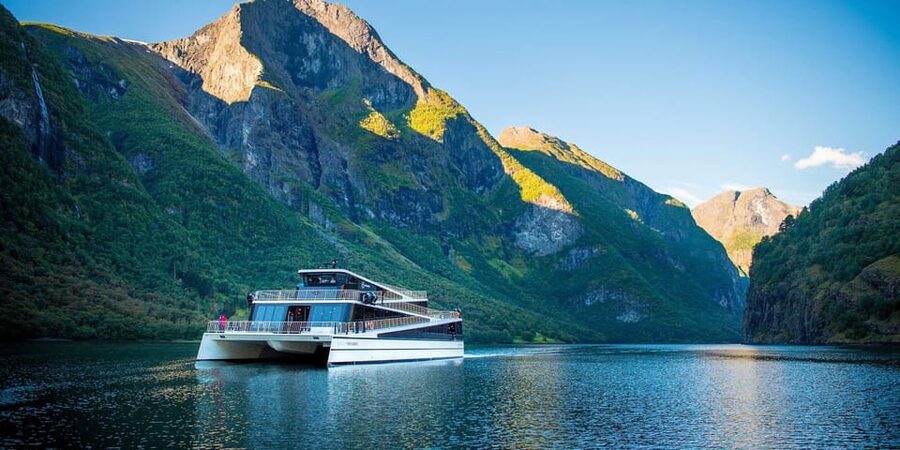 Bergen: Viking Village, Nærøyfjorden Cruise and Flåm Railway - Comfort, group size, and physical demands