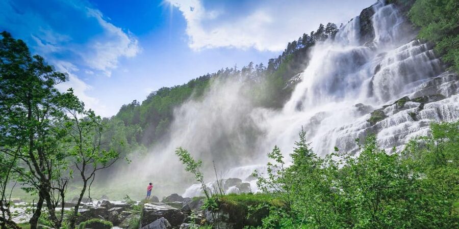 Bergen: Viking Village, Nærøyfjorden Cruise and Flåm Railway - Who should book this Bergen day trip?