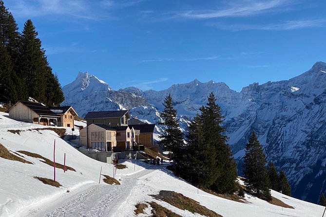 Best of the Uri Alps: A fjord-like lake, glorious peaks and sustainable tourism - Who will get the most from this private day