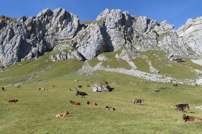 Best of the Uri Alps: A fjord-like lake, glorious peaks and sustainable tourism - Starting in Altdorf at 9:00