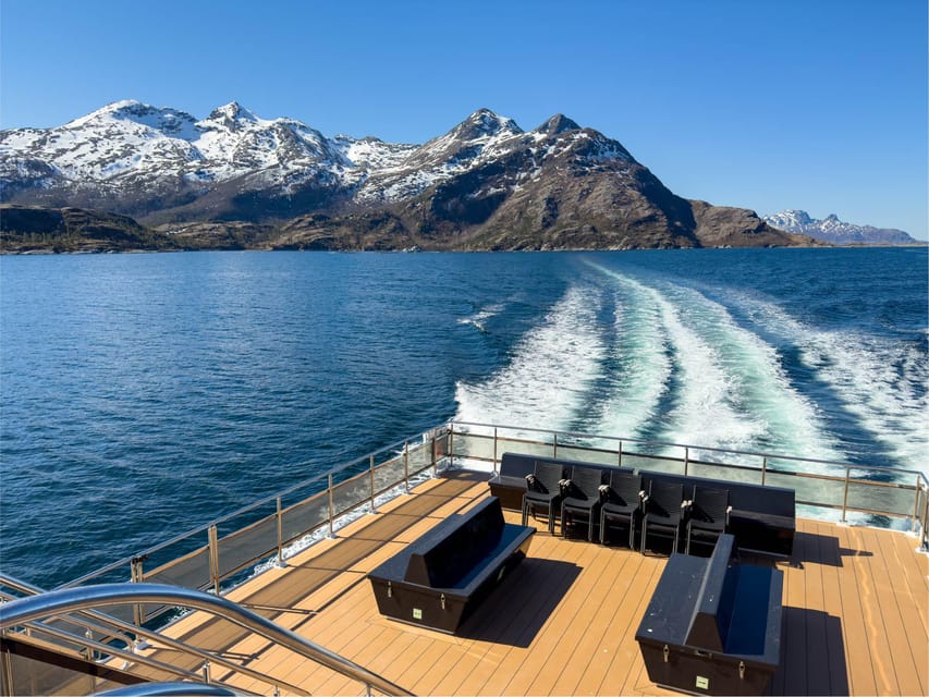 Bodø: Beiar Fjord & Saltstraument Cruise - Key points to know before you book