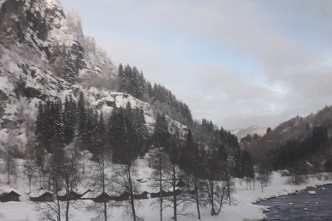 Bride's Veil and Steinsdalsfossen waterfalls with sceneries of Hardanger Fjord - Why this private Bergen tour works well