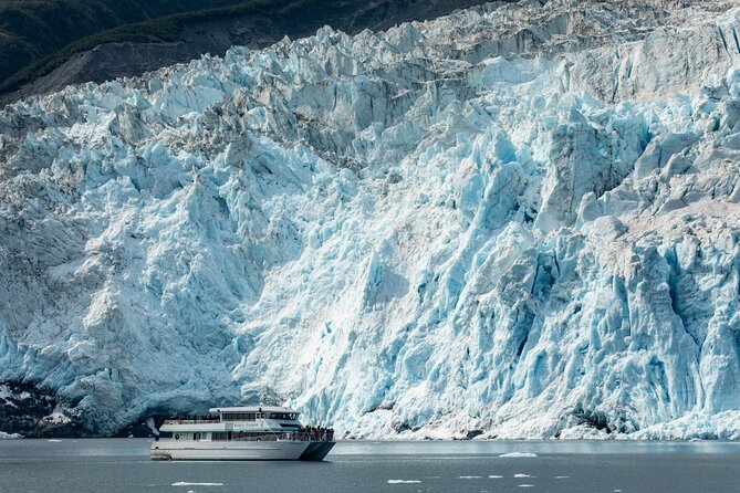 Captain's Choice Kenai Fjords National Park Tour from Seward - Starting in Seward at 9:00 a.m.