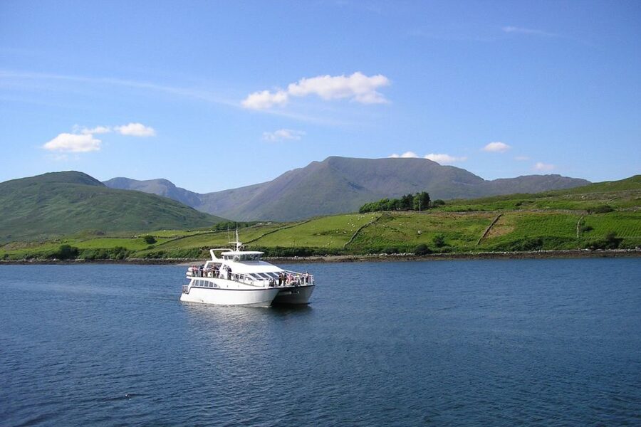 County Galway Killary Fjord 1.5-Hour Sightseeing Cruise - Cruising the full 9-mile inlet