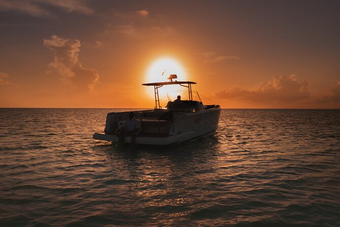 Deluxe Private Boats - 36 ft Fjord - Snorkeling at Palancar Reef