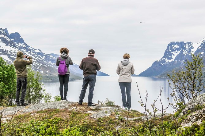 Discover the Fjords of Kvaloya - a roadtrip along fjords and fishing villages - Leaving Tromsø for Kvaløya Island